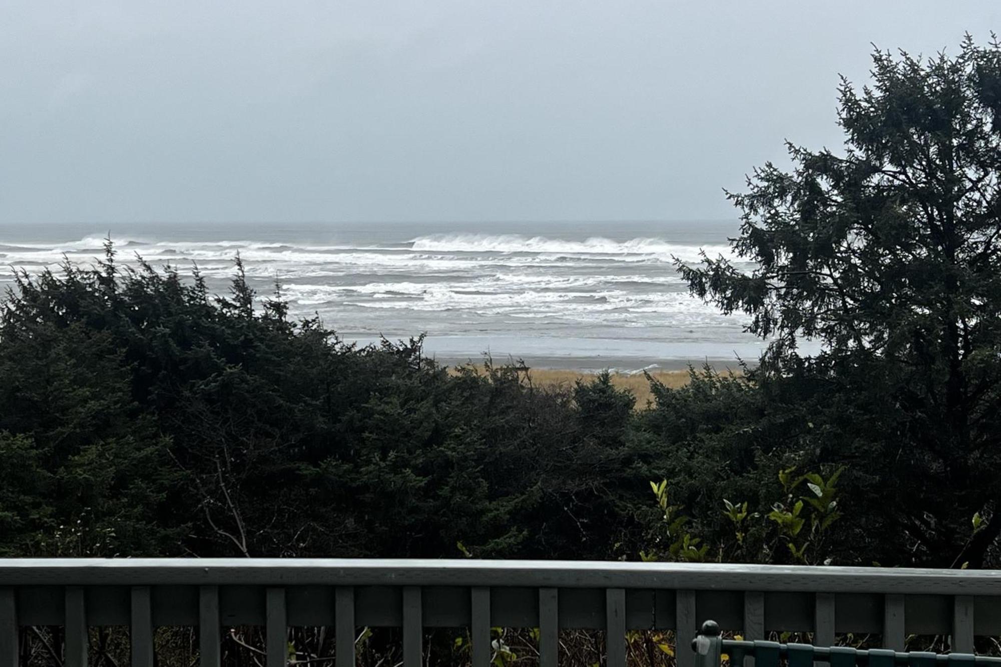 Rocks Cabin Copalis Beach Bagian luar foto