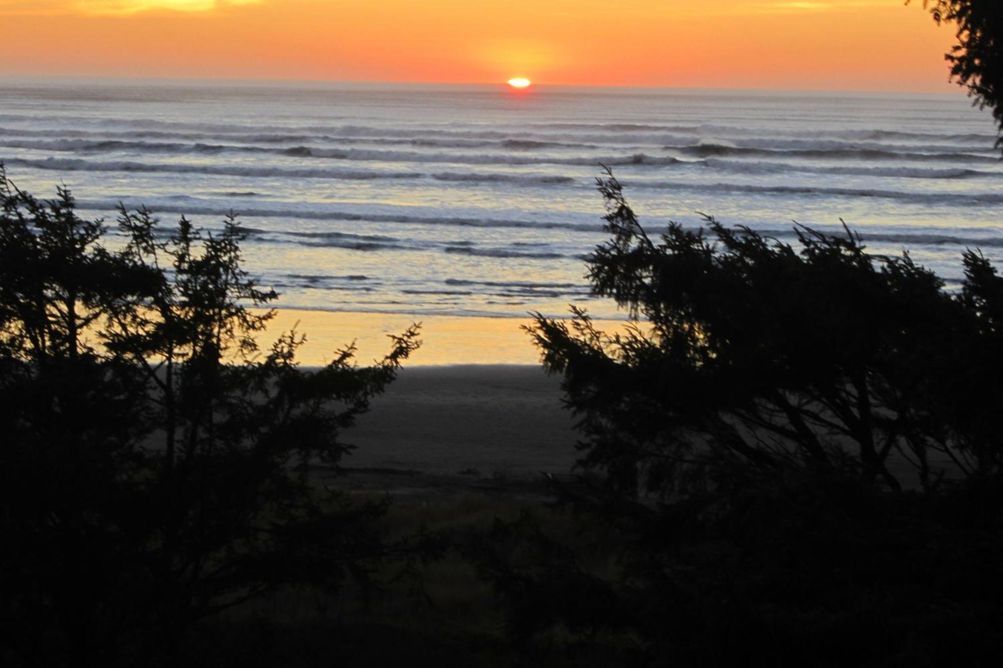 Rocks Cabin Copalis Beach Bagian luar foto